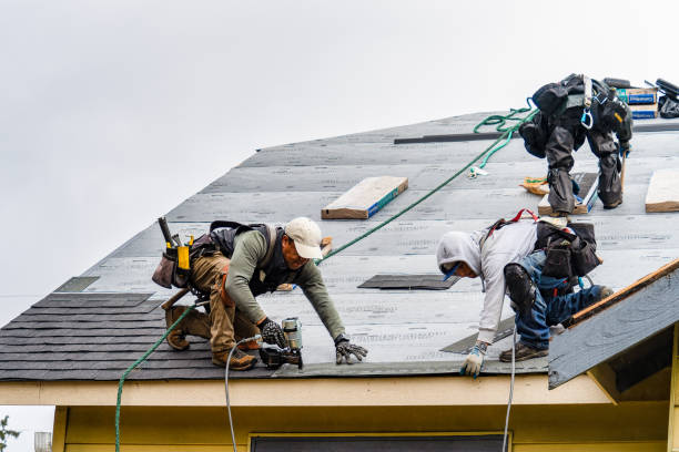 Professional Gutter Installation technician working in Paw Paw, MI